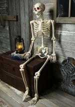 Mr. Crazy Bonez Animated Skeleton Alt 1
