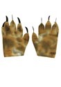 Dragon Gloves