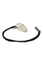 Bat Skull Necklace & Pin