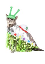 Unidentified Flying Dog Costume Alt 3