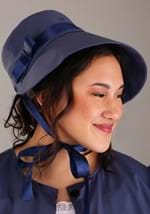 Plus Size Jane Austen Costume Alt 2