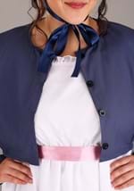 Plus Size Jane Austen Costume Alt 3