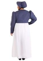 Plus Size Jane Austen Costume Alt 5