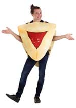 Adult Hamantash Costume Alt 3