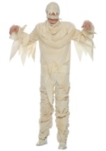 Adult Mummy Costume