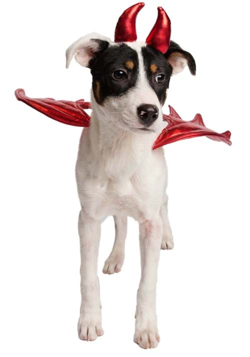 Devil Pet Costume