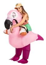 Inflatable Adult Flamingo Ride On Costume Alt 3