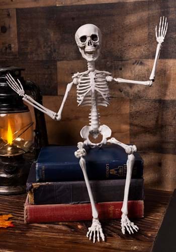 20 Poseable Skeleton