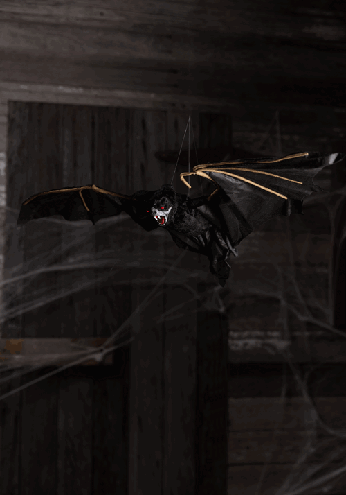 35 Animated Bat
