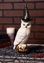 14" White & Gold Owl w/Witch Hat on Gold Jack-O-La
