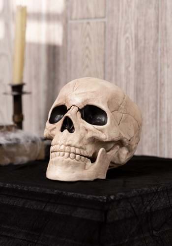Glow in the Dark Skull Prop
