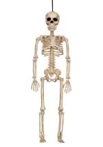 16" Skeleton
