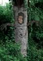 Tree Face and Arm Accessory Kit