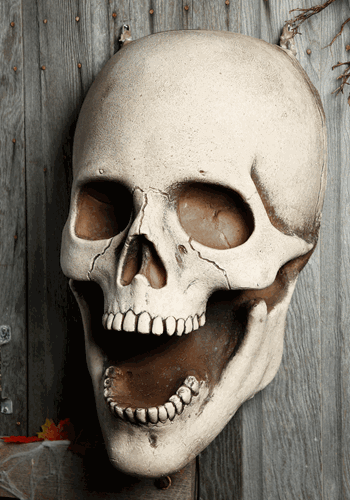 30 Inch Giant Super Skull Prop_Update