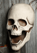 30 Inch Giant Super Skull Prop_Update