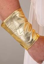 Adult Deluxe Zeus Costume Alt 3