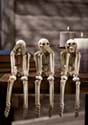 Set of 3 See No Evil, Hear No Evil, Speak No Evil Skeletons