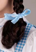 Wizard of Oz Adult Dorothy Wig Alt 2