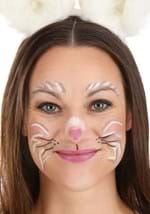 Bunny Makeup Kit Alt 1