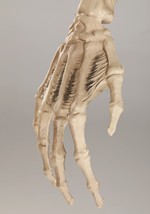 Giant 8' Animated Skeleton Decoration Alt 5