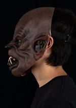 Wolfman Mask Alt 2