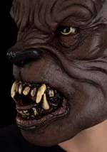 Wolfman Mask Alt 3