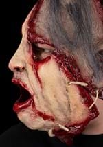 Skinner Full Face Mask Alt 1
