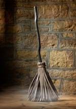 ENCHANTED BROOM Alt 1