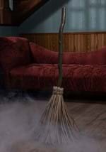 ENCHANTED BROOM Alt 2
