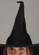 Huge Brim Witch Hat Alt 1