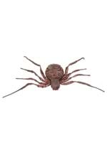 Spider grotesque Alt 1