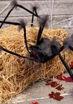 Large spider hairy grey Alt 2
