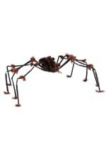 Large spider hairy brown Alt 1