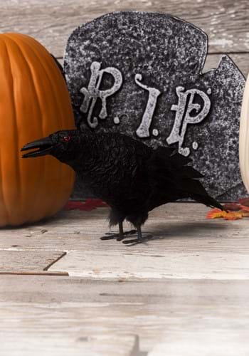 Standing Crow Squawking