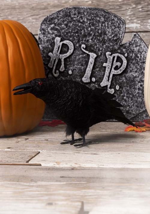 Standing Crow Squawking