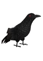 Standing Crow Alt 1