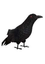standing crow Alt 1