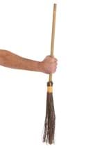 Classic Wicked Witch Broom Prop Alt 1