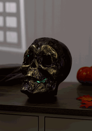 Skull with Color Changing LED Lights