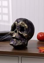 Skull w/ Color Change LED Light Alt 5