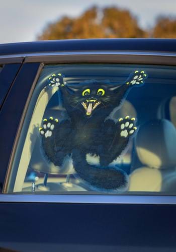 Crazy Cat Car Cling