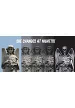 Angel to Demon Light Changing Window Poster Alt 3