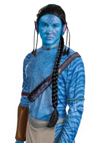 Mens Avatar Deluxe Jake Wig