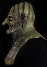 Adult Wicce Mask Alt 1