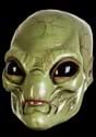 Adult Green Visitor Mask