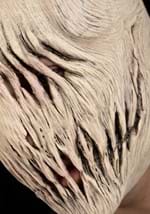 Adult The Pale One Mask Alt 1