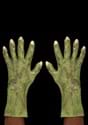 Adult Witch Claw Gloves