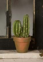 Potted Cacti O Lantern Decoration Alt 1