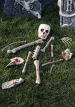 Bloody skeletons parts kit