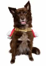 Rainbow Pet Costume Alt 4